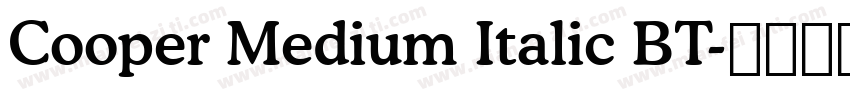 Cooper Medium Italic BT字体转换